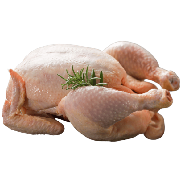 Chicken Parents (Mother bird)(1KG)